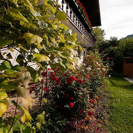 Apartmenthaus Juen Zams