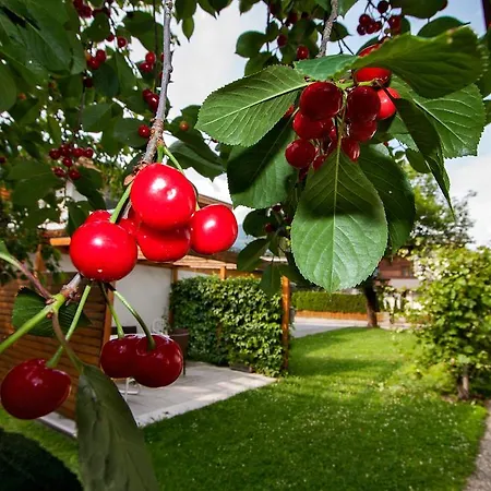 Apartament Apartmenthaus Juen